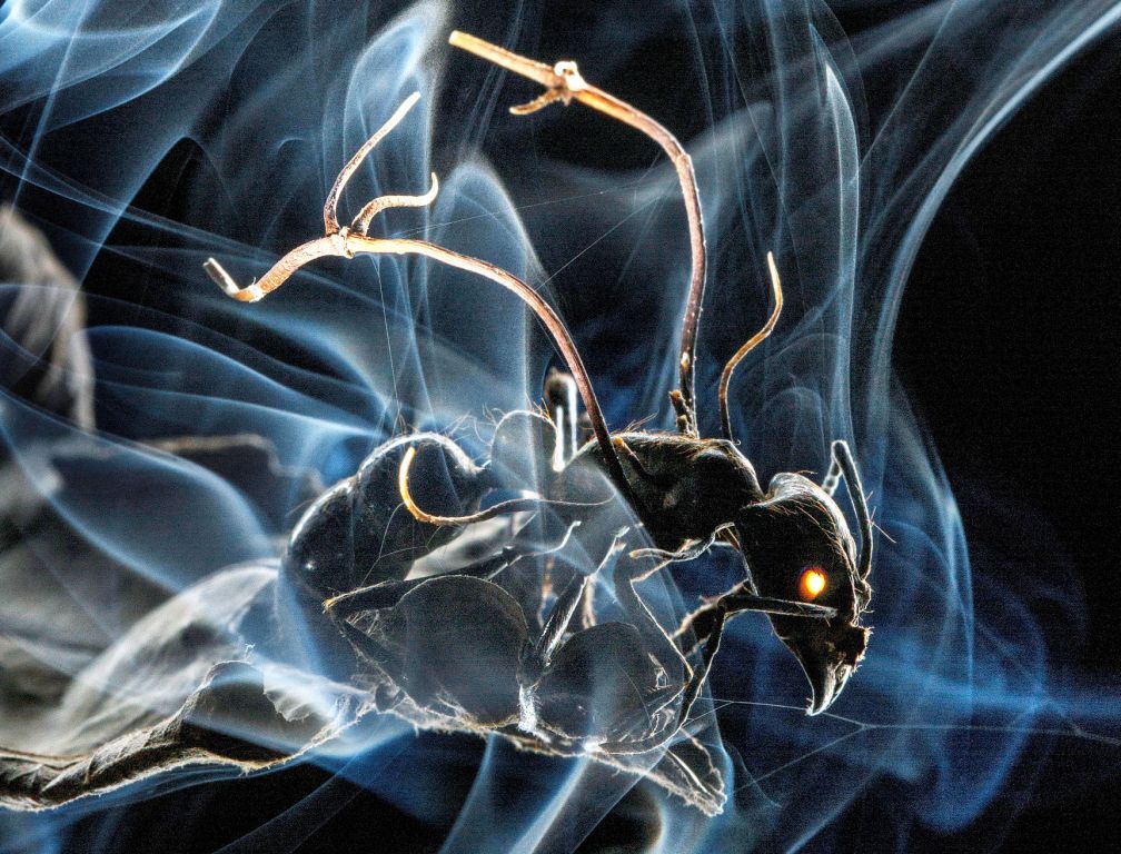 Photos of the Year 18 stunning award winning