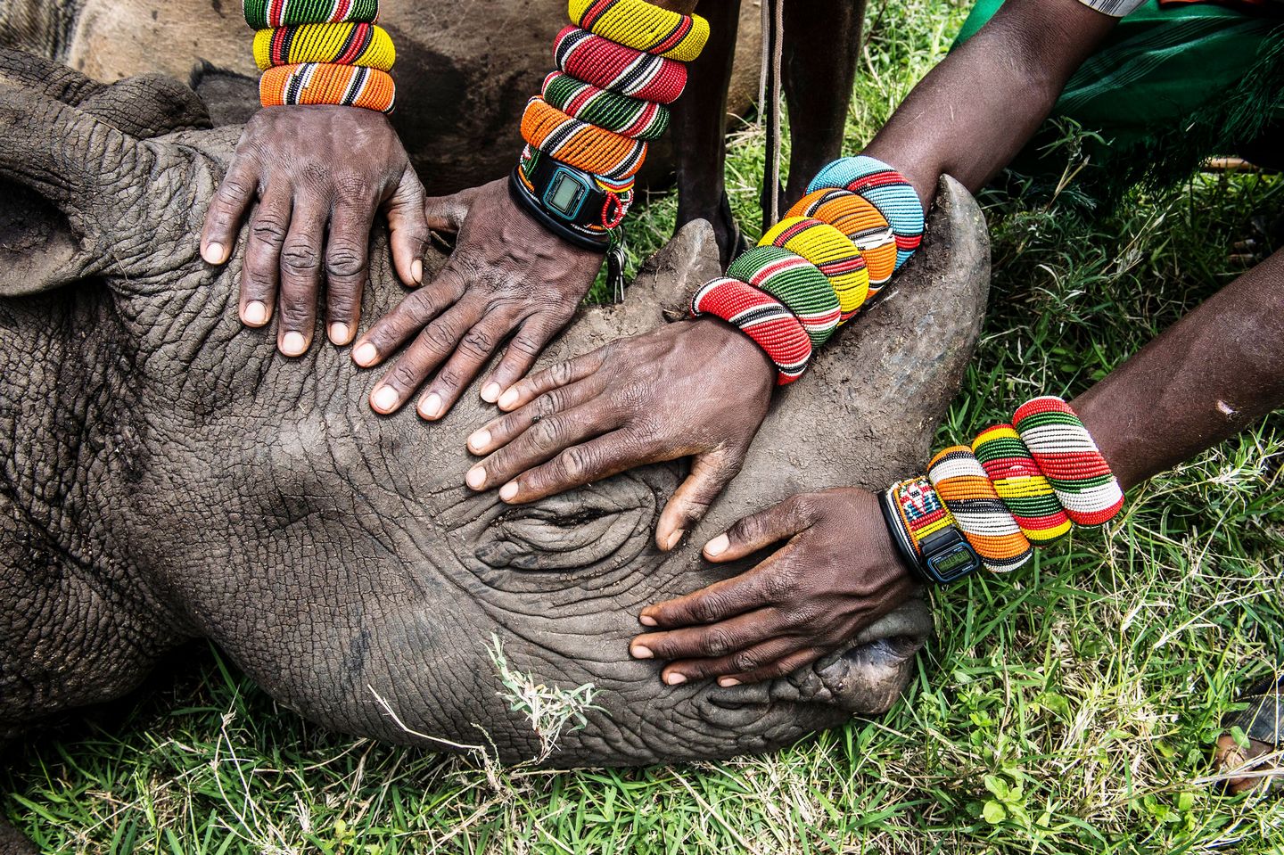 Photos of the Year 18 stunning award winning