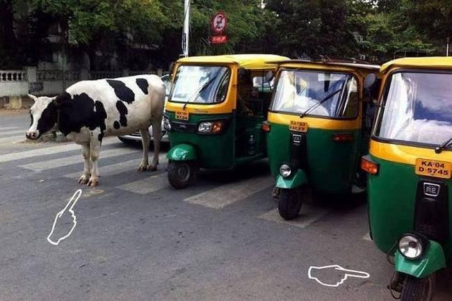 Photos That Prove Indians Are The Kings Of Rule Breaking