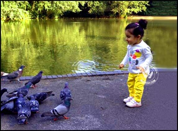 Prince Mahesh Babu Rare family  Pics