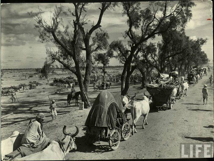 Rare & Unseen Images Of India–Pakistan Partition 1947