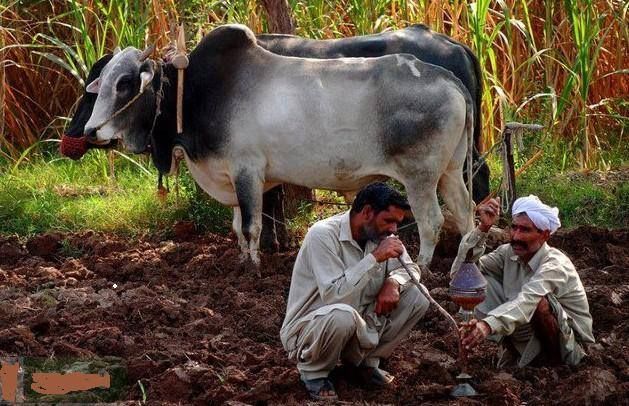 Rare images of rural Village