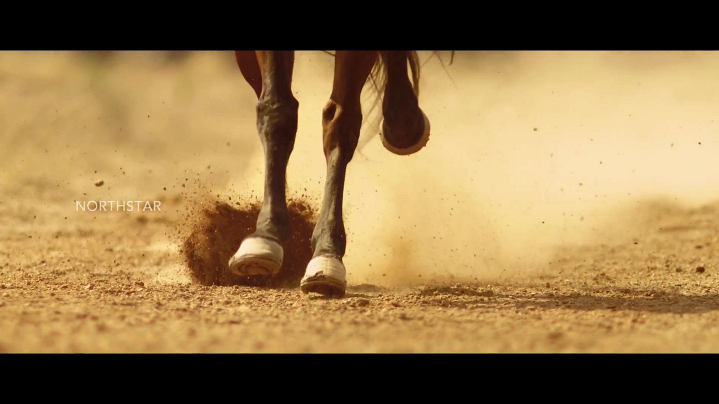 Pawan Kalyan’s Sardaar Gabbar Singh Movie Latest Stills