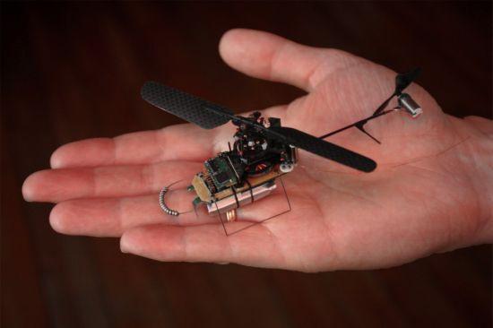 Smallest Things in the World