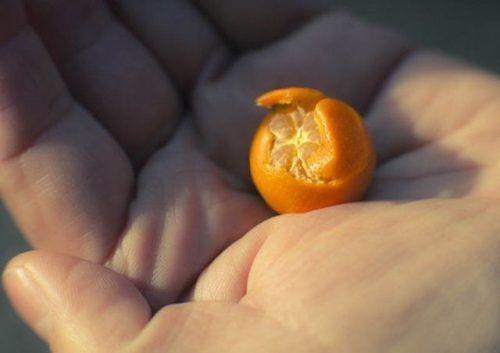 Smallest Things in the World