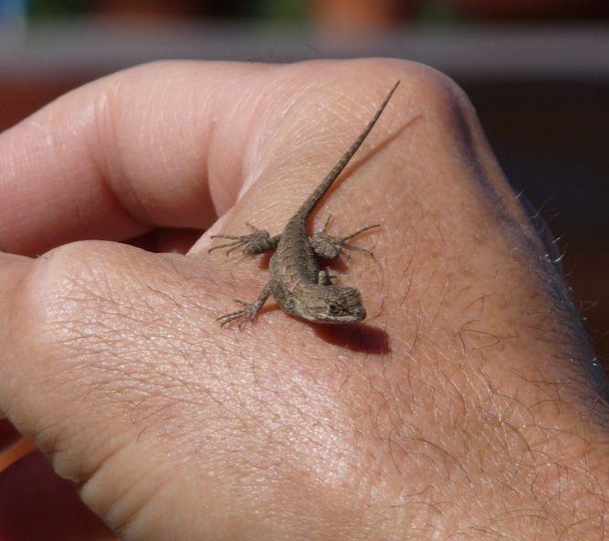 Smallest Things in the World