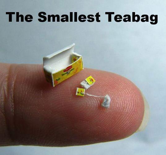 Smallest Things in the World