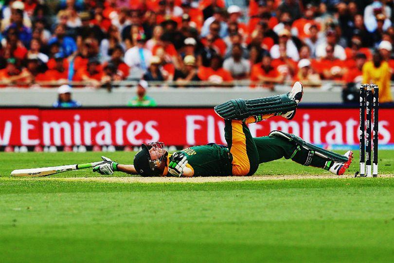 south africa vs new zealand 2015 photos