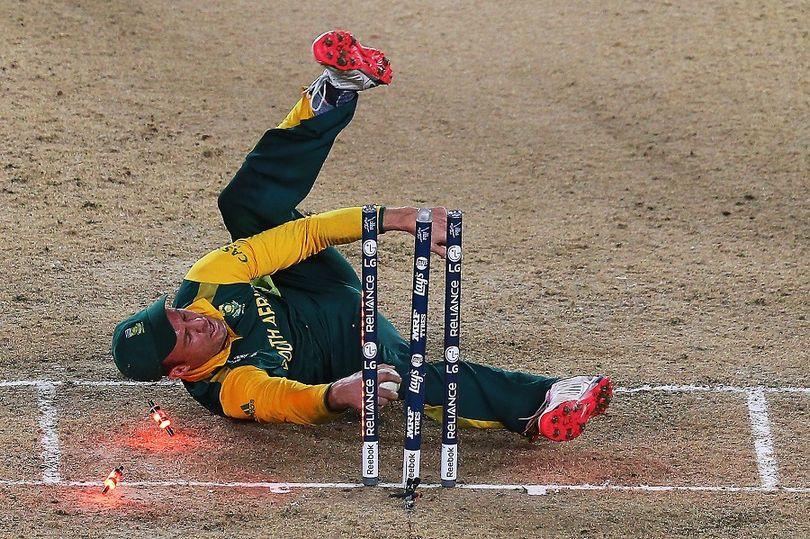 south africa vs new zealand 2015 photos