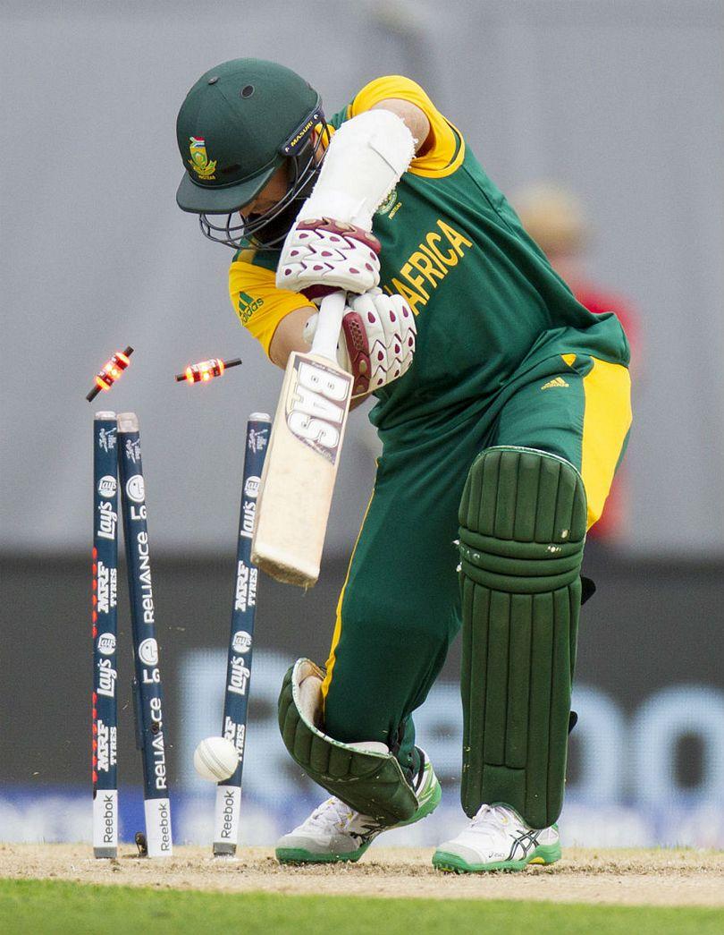 south africa vs new zealand 2015 photos