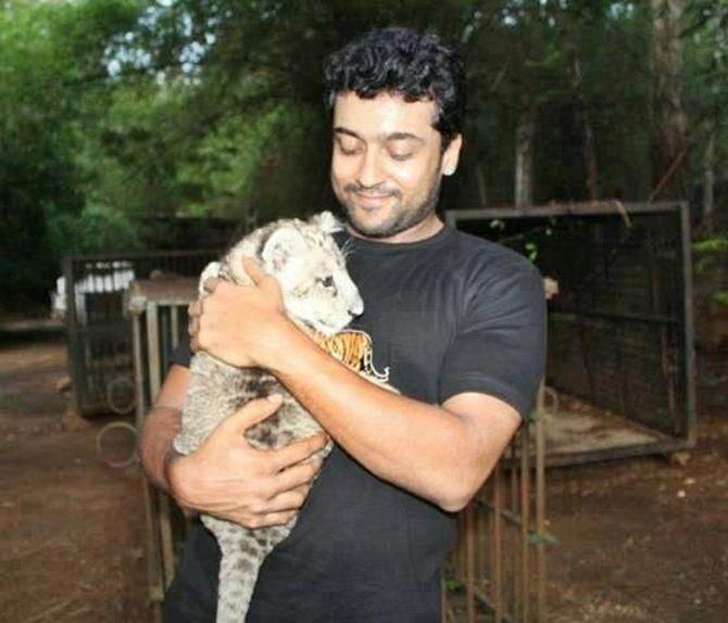 Suriya Rare & Unseen Photos