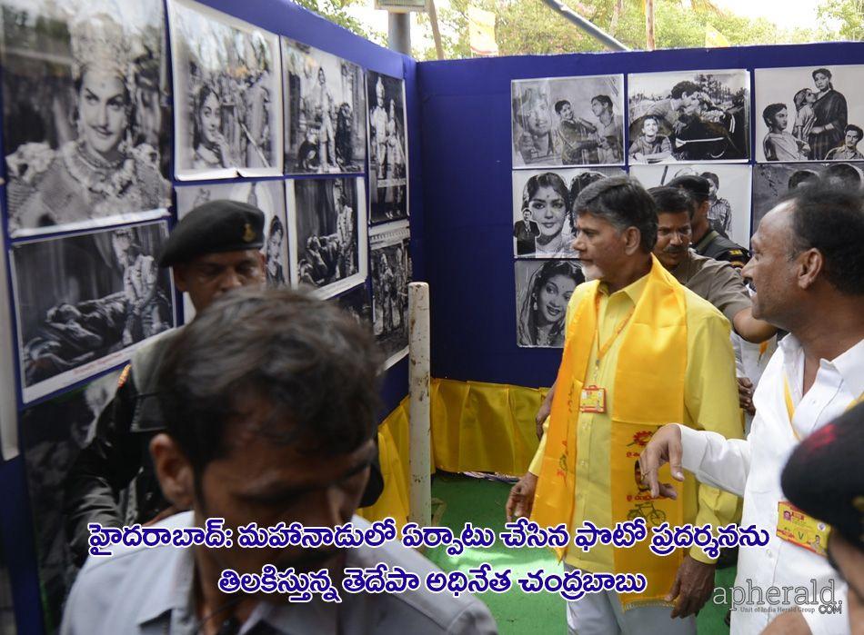 Tdp Mahanadu 2015 Pics