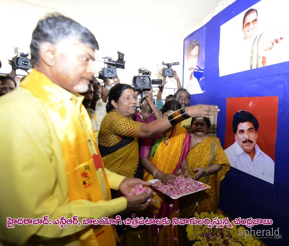 Tdp Mahanadu 2015 Pics