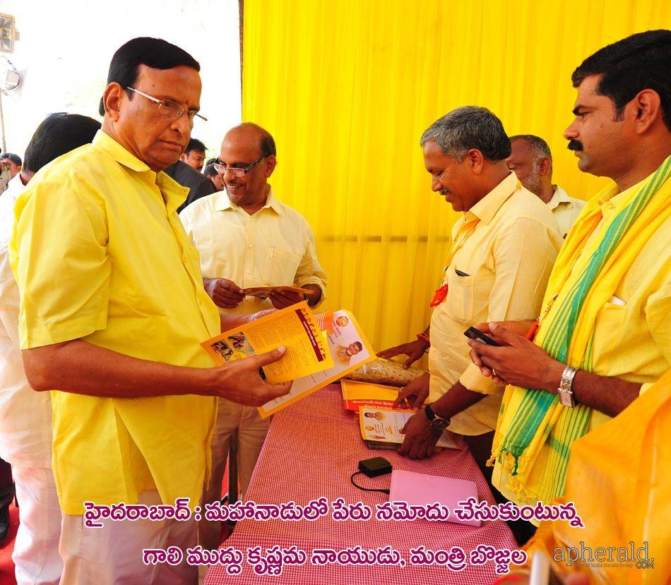 Tdp Mahanadu 2015 Pics