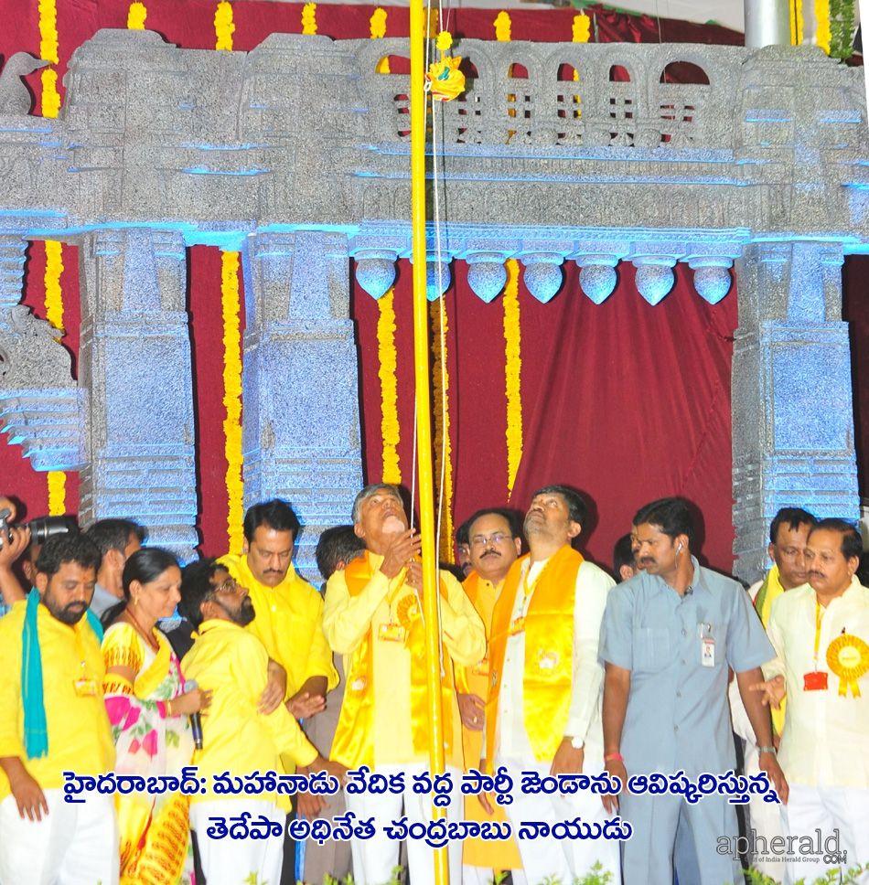 Tdp Mahanadu 2015 Pics