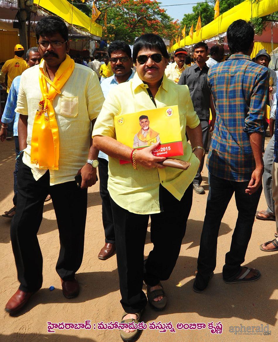 Tdp Mahanadu 2015 Pics