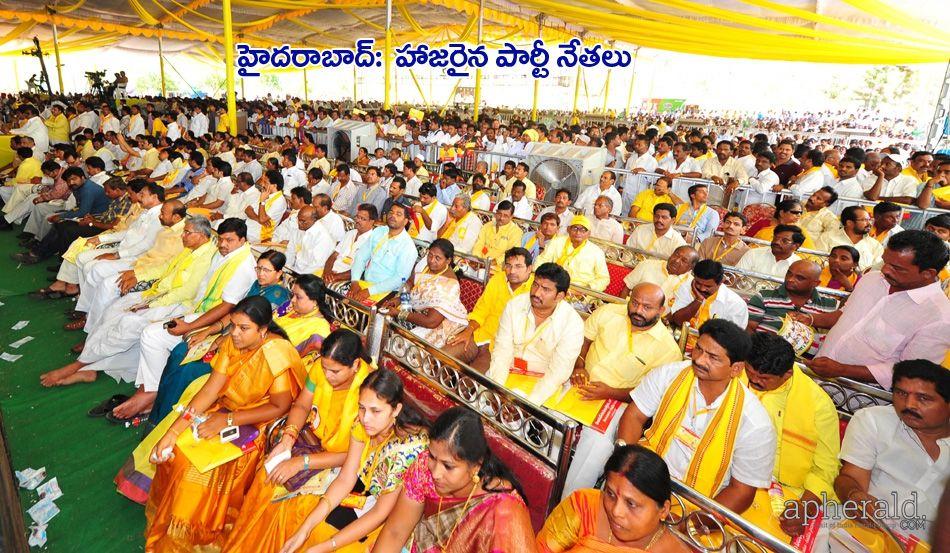 Tdp Mahanadu 2015 Pics