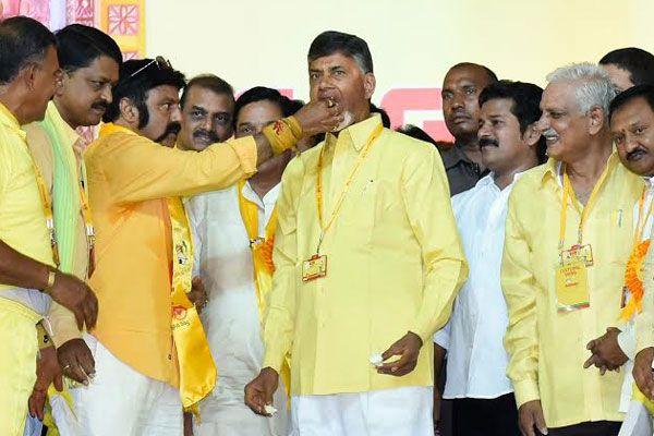 tdp mahanadu 2016 Pics at tirupati