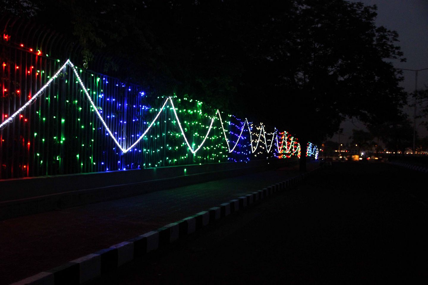Telangana formation day Photos At Hyd