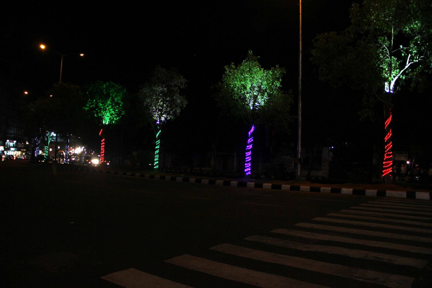 Telangana formation day Photos At Hyd