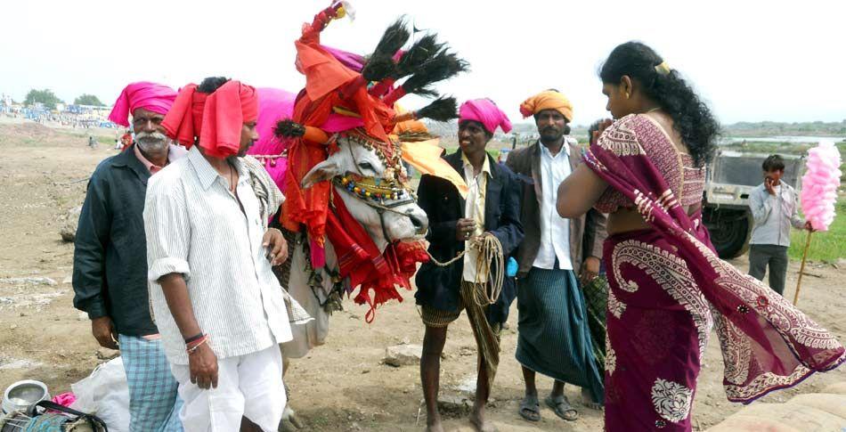 Telangana Pushkaralu 3rd day Photos