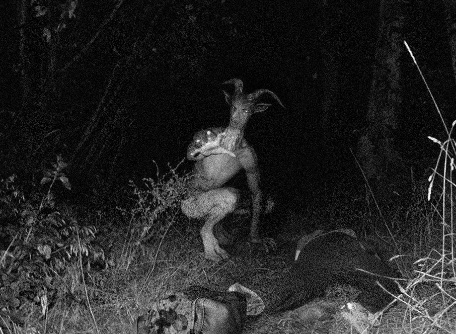 Terrifying Ghost Stills Captured on Cameras