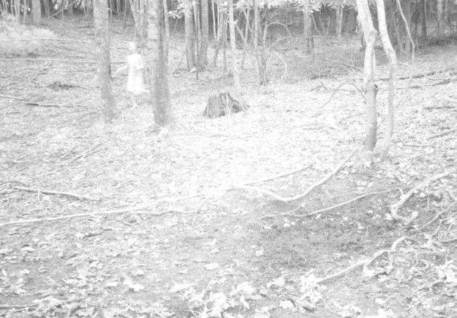 Terrifying Ghost Stills Captured on Cameras