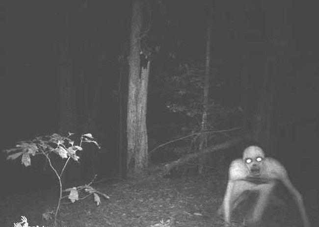 Terrifying Ghost Stills Captured on Cameras