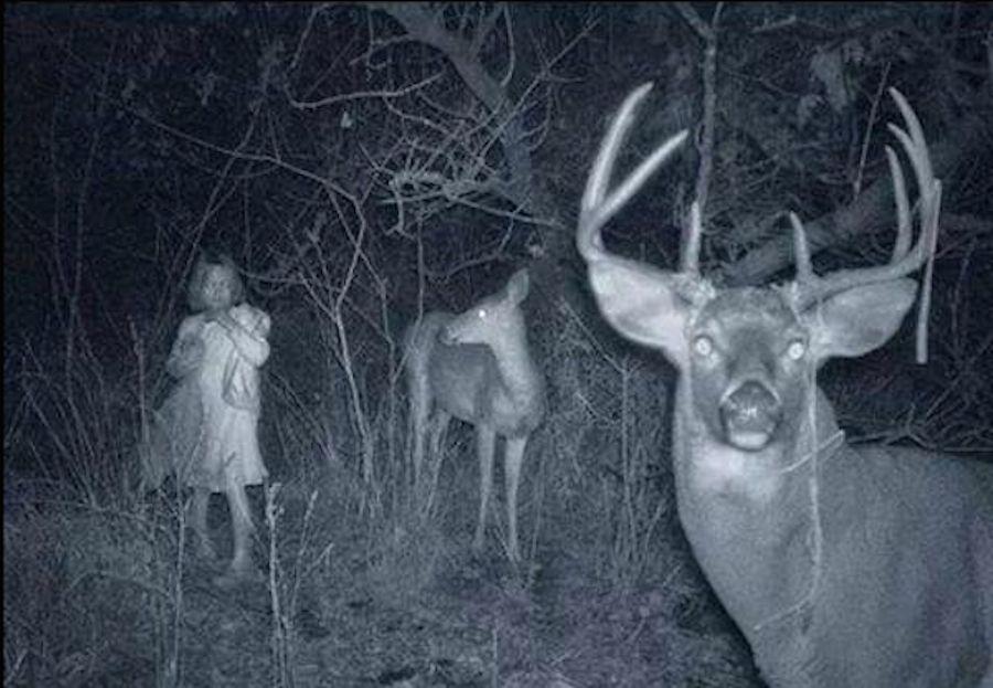 Terrifying Ghost Stills Captured on Cameras