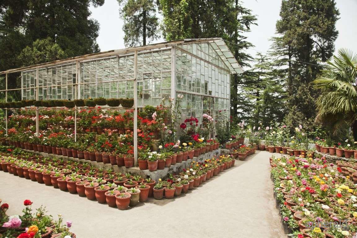 The Best Hill Stations In India