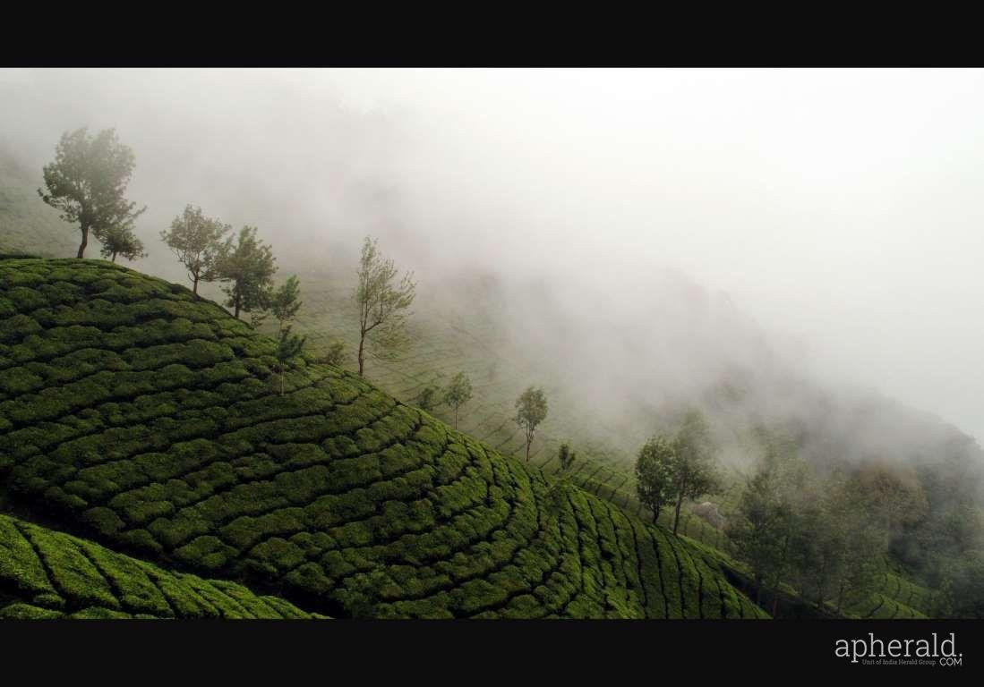 The Best Hill Stations In India