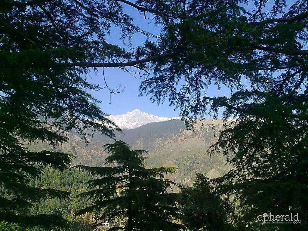 The Best Hill Stations In India