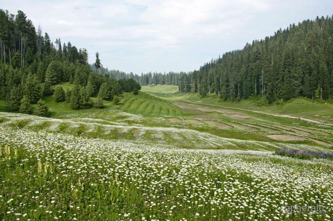 The Best Hill Stations In India