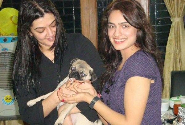 Tollywood stars with their siblings