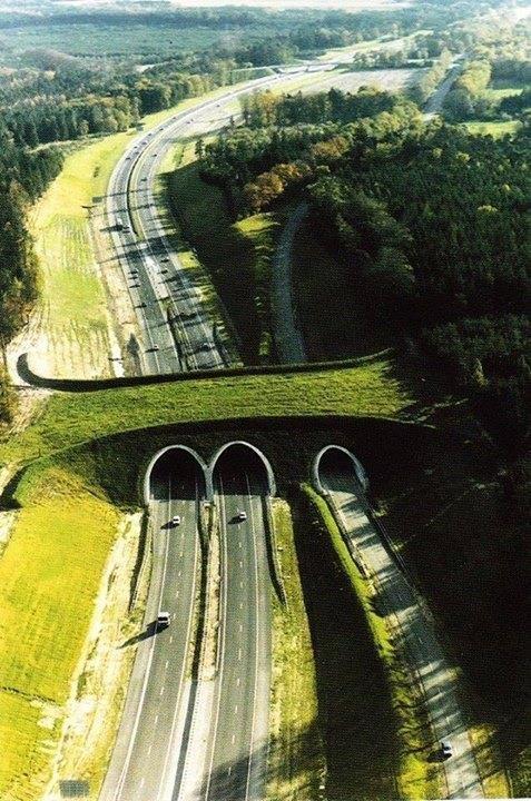 Unbelievable Bridges All Over The World