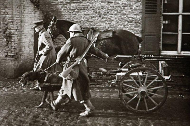 Unbelievable Rare Photos from World War One