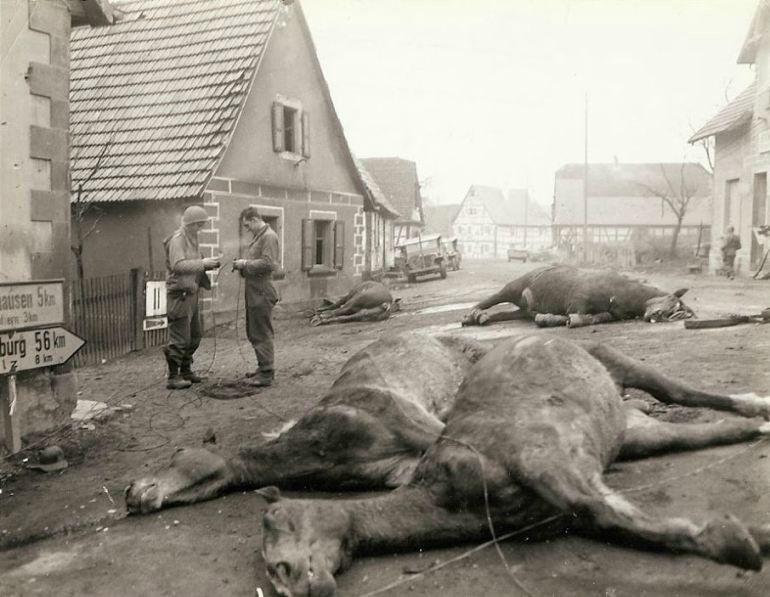 Unbelievable Rare Photos from World War Two