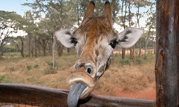 Unseen Funny Images