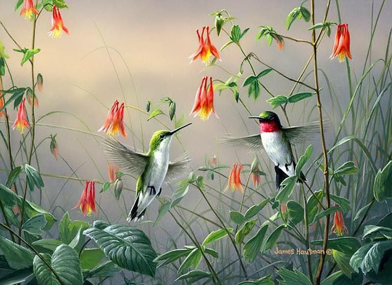 Unseened small birds Rare photos