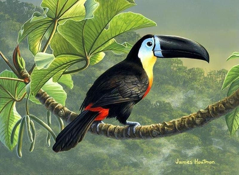 Unseened small birds Rare photos