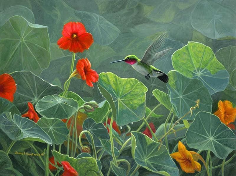 Unseened small birds Rare photos