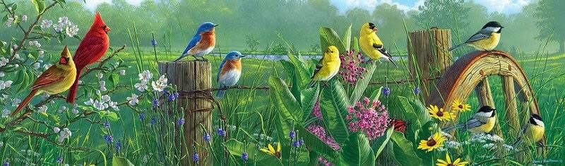 Unseened small birds Rare photos