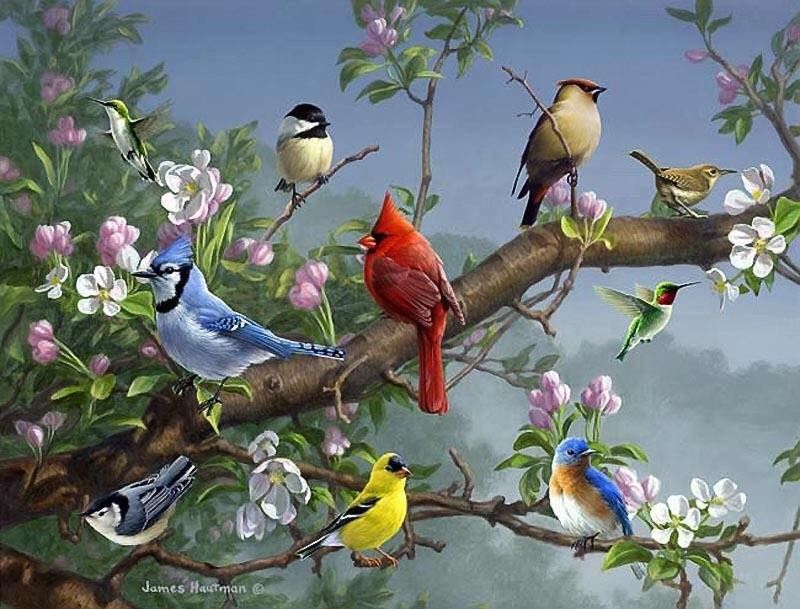 Unseened small birds Rare photos