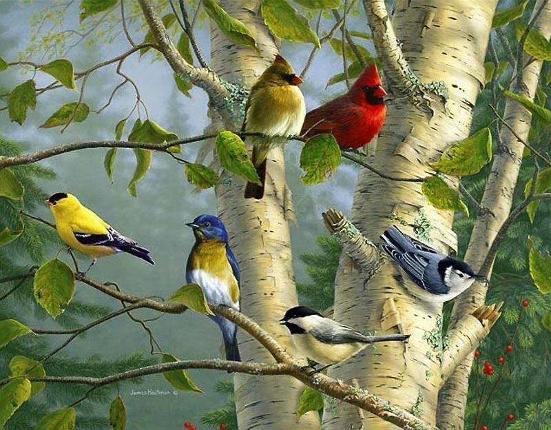 Unseened small birds Rare photos