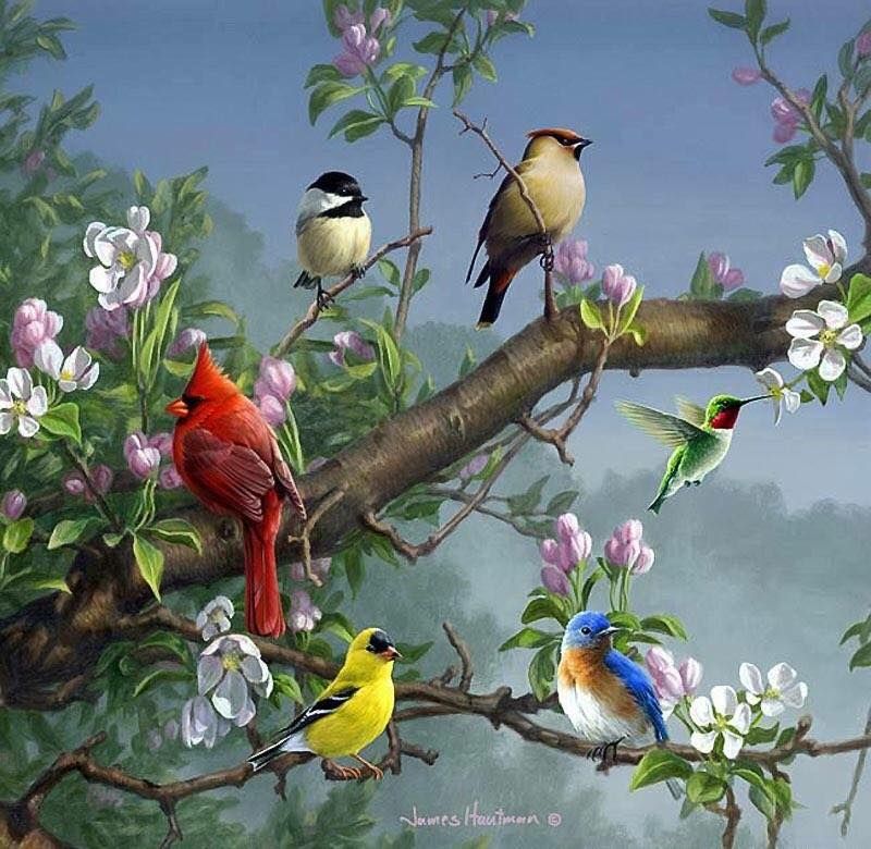 Unseened small birds Rare photos