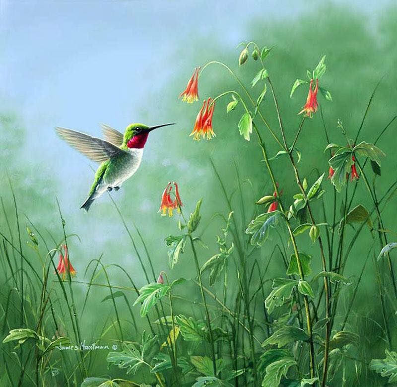 Unseened small birds Rare photos