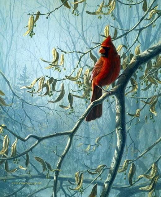 Unseened small birds Rare photos