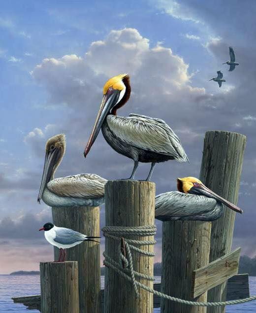 Unseened small birds Rare photos