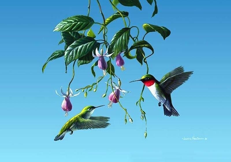 Unseened small birds Rare photos