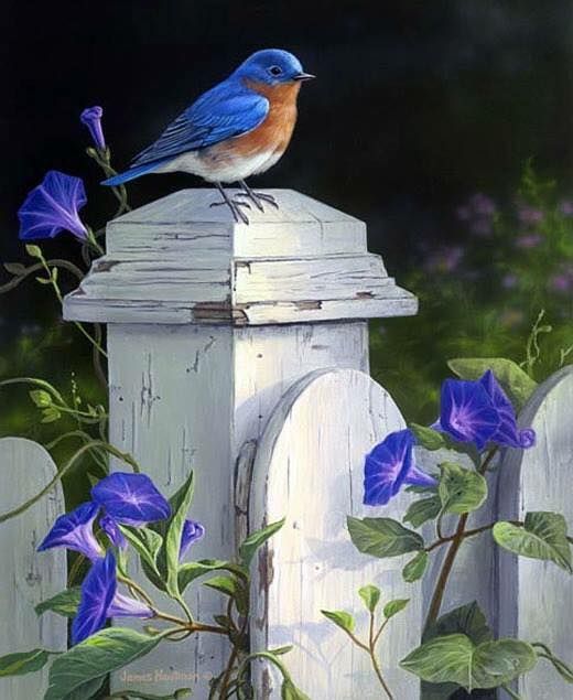 Unseened small birds Rare photos